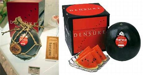 Densuke_watermelon