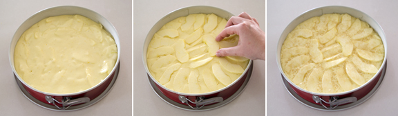 torta 3